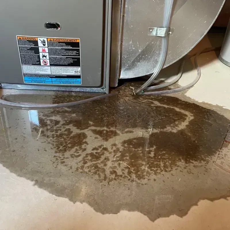 Appliance Leak Cleanup in Haysville, KS